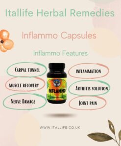 Inflammo Herbal Capsules | Natural Joint & Inflammation Support Wellness Formula - Image 3