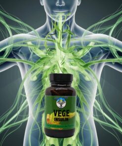 Alternative view of VEGE-INSULIN Herbal Capsules | Natural Blood Sugar & Pancreas Support.