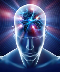 Alternative view of BRAIN FOOD Herbal Capsules | Natural Memory, Focus & Cognitive Support
