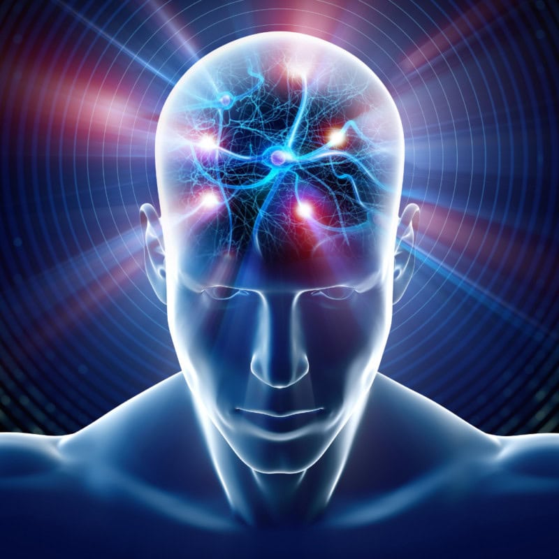 BRAIN FOOD Herbal Capsules | Natural Memory, Focus & Cognitive Support - Image 2