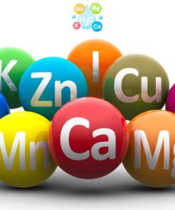Multi-Mineral Herbal Capsules | Natural Mineral & Trace Element Support, and Wellness Formula - Image 2