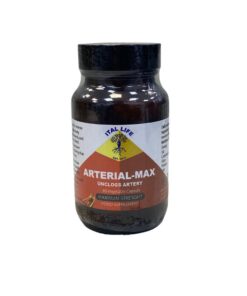 ARTERIAL-MAX Herbal Capsules | Natural Artery & Cardiovascular Support