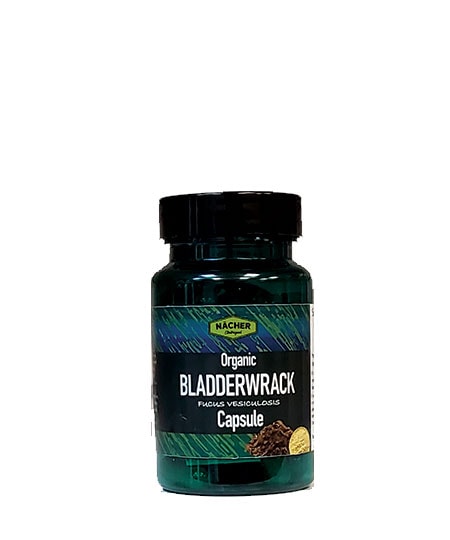 Bladderwrack Capsules 50 Vegan Capsules | Natural Iodine & Thyroid Support
