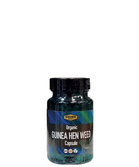 Guinea Hen Weed | 50 Vegan Capsules | Traditional Herbal Wellness Support