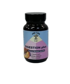 Digestive Aid Herbal Capsules | Natural Digestive & Gut Health Support