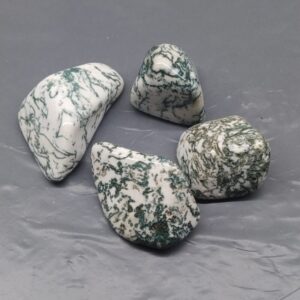 Tree Agate X-Large 25-35mm