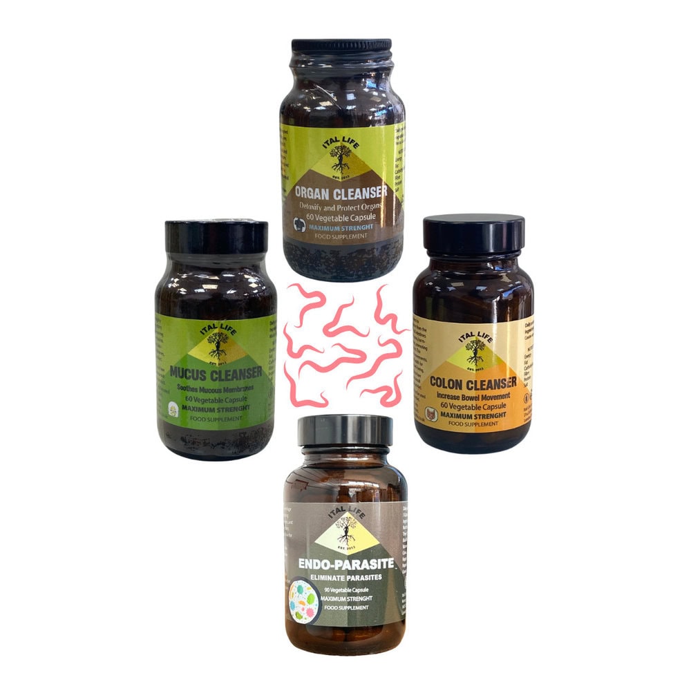 Parasite Support Pack | Parasite Cleanse Pack | Complete Herbal Digestive & Detox Wellness System