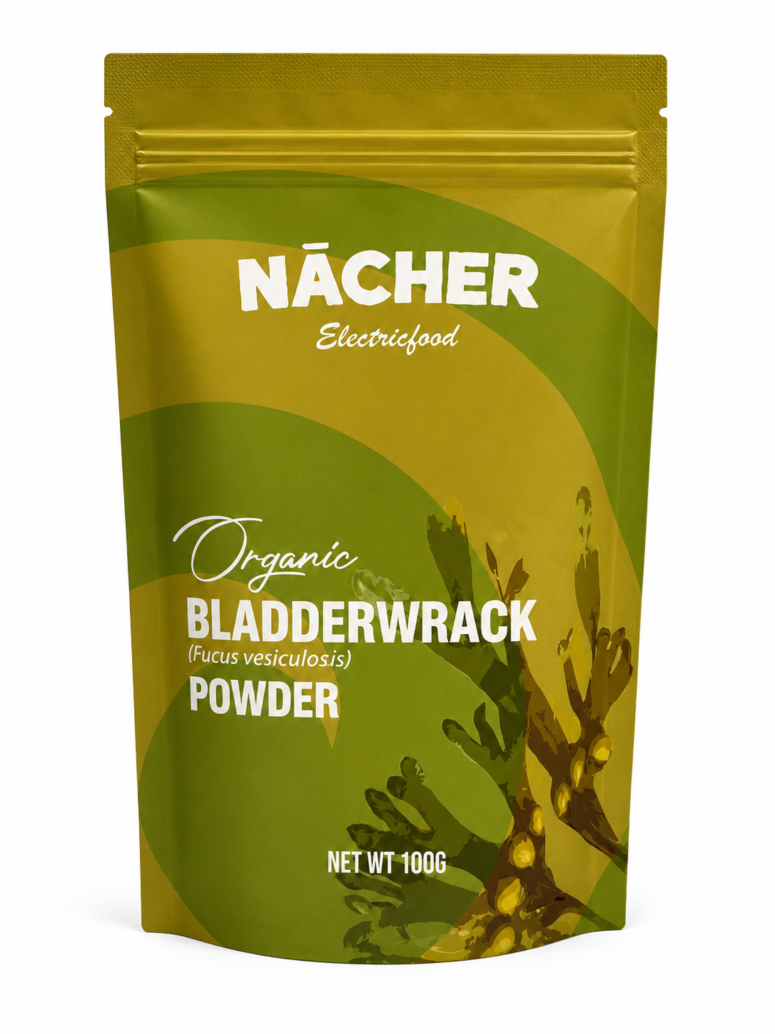 Bladderwrack Powder iodine-rich seaweed from Ital Life