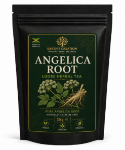 Angelica Root Angelica archangelica traditional dried herbal root