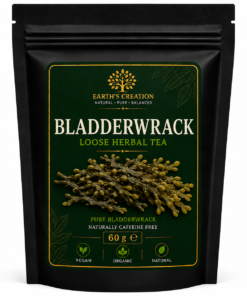 Bladderwrack Seaweed traditional dried herbal seaweed