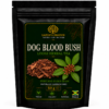 Dog Blood Bush Rivina humilis traditional Jamaican herb