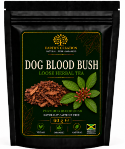 Dog Blood Bush Rivina humilis traditional Jamaican herb