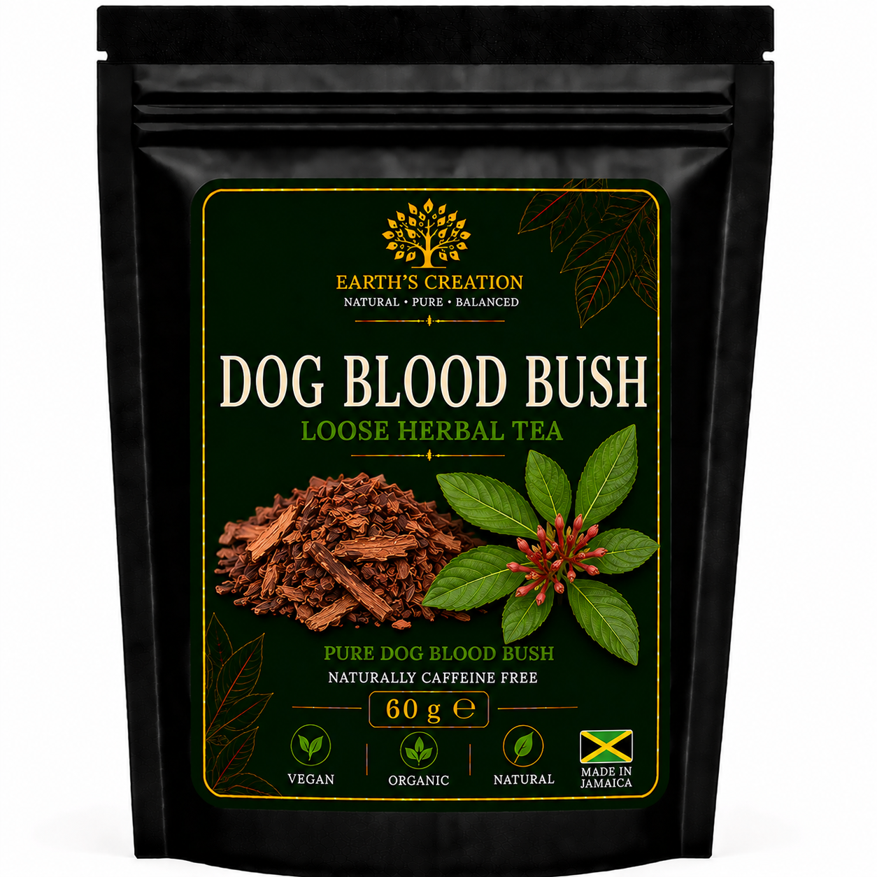 Dog Blood Bush Rivina humilis traditional Jamaican herb