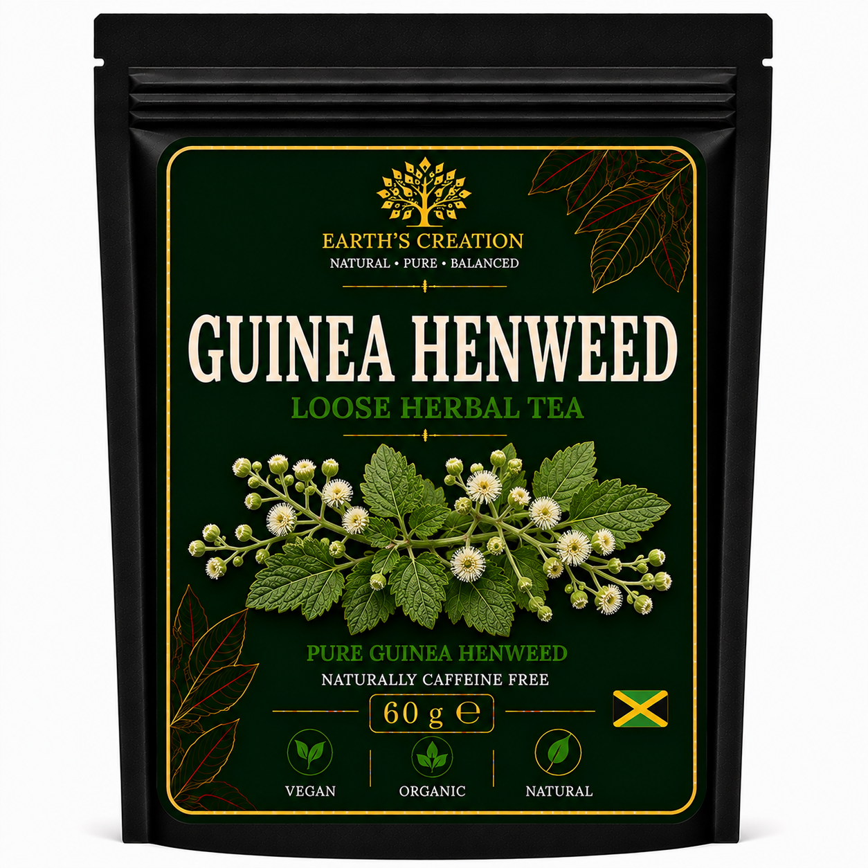 Guinea Henweed Petiveria alliacea traditional Caribbean herb