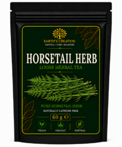 Horsetail Herb Equisetum arvense traditional dried herb