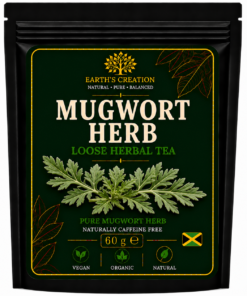 Mugwort Herb Artemisia vulgaris traditional dried herb
