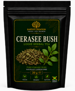 Cerasee Bush traditional Jamaican Caribbean herb